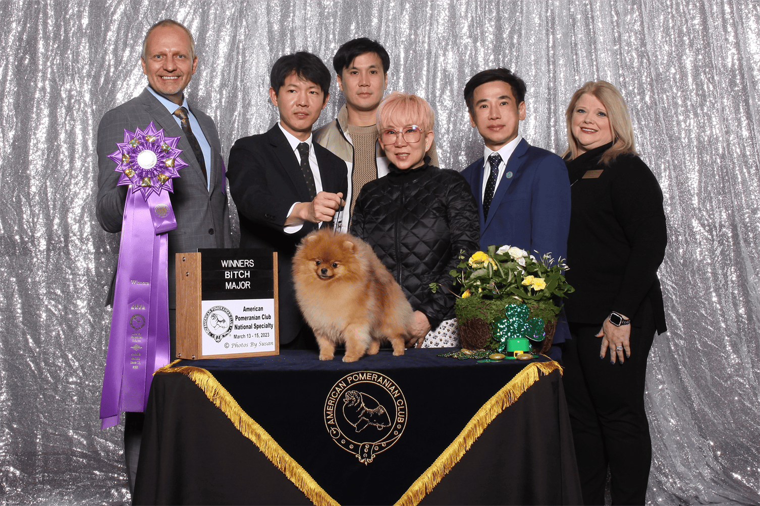 The Winner bitch At Pomeranian national specialty 2023
