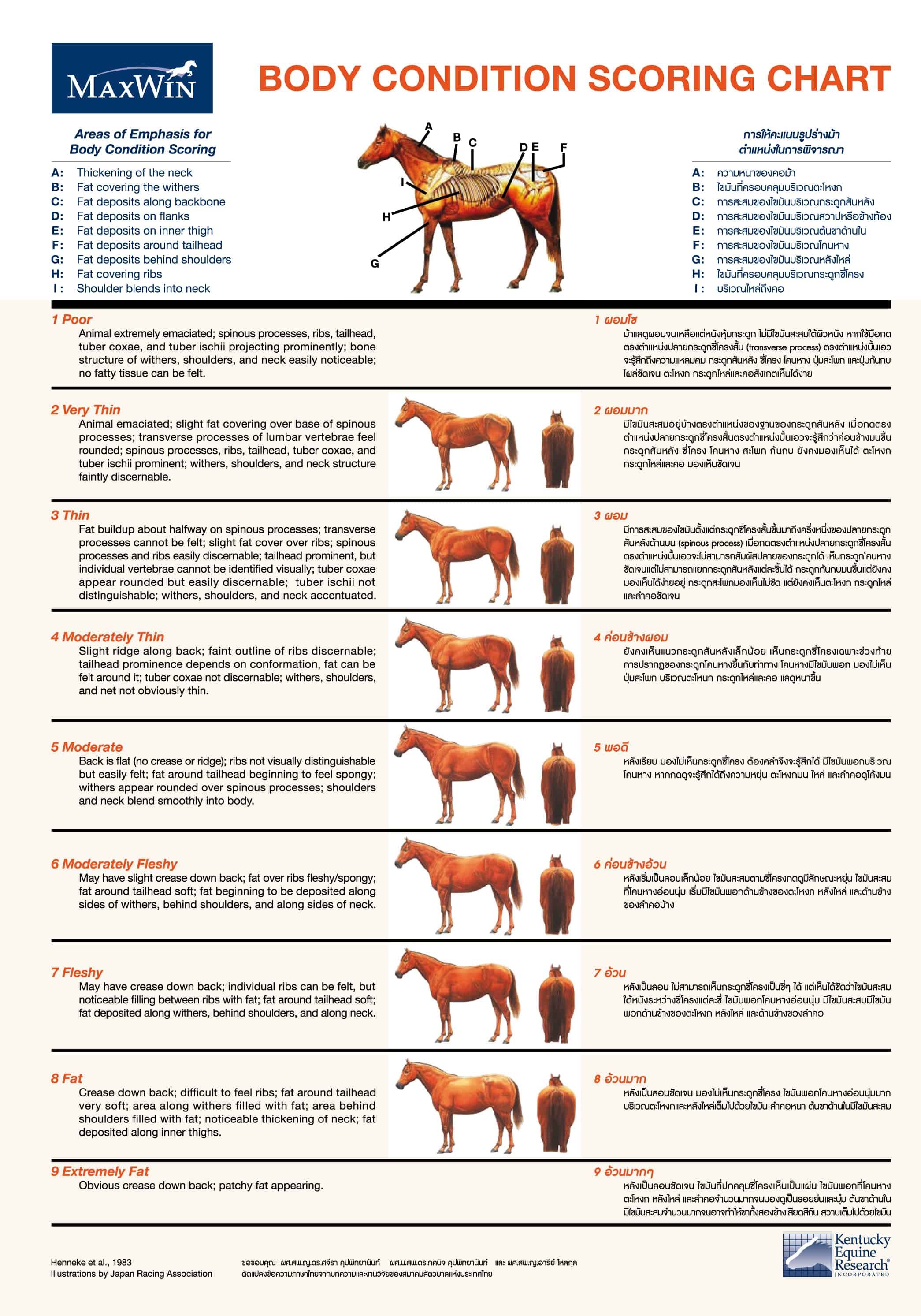 14-Body-Condition.jpg