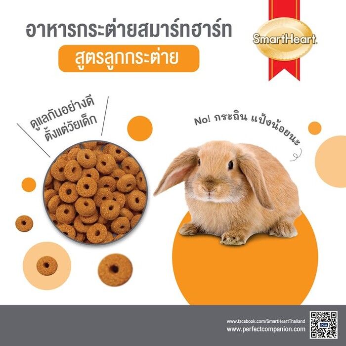 อาหารลูกกระต่าย สมาร์ทฮาร์ท