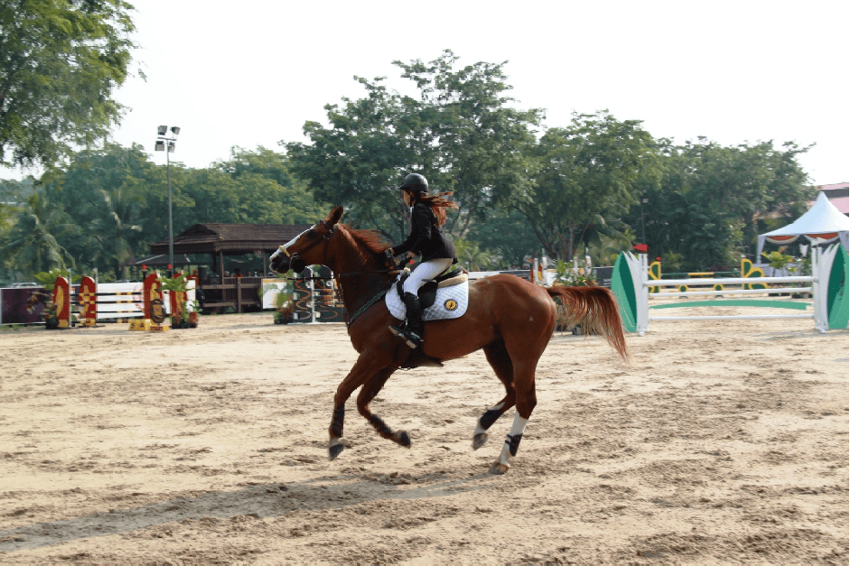 การแข่งขัน “ FEI WORLD CUP SEA LEAGUE 3QE CLASSIC 2012 ”