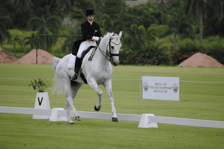 President 's Cup 2011 Pattaya CCI 1* & CCN