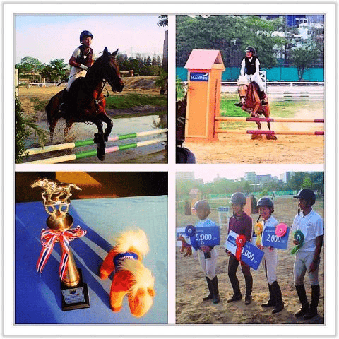 อาหารม้า " MaxWin "