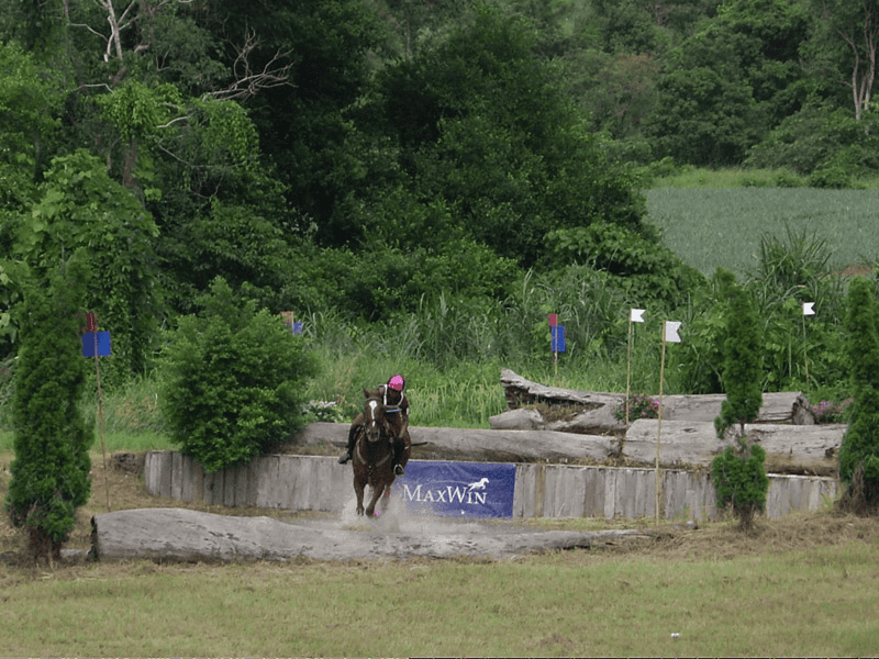 การแข่งขันขี่ม้า Maxwin CIC* ที่ไทยโปโล พัทยา