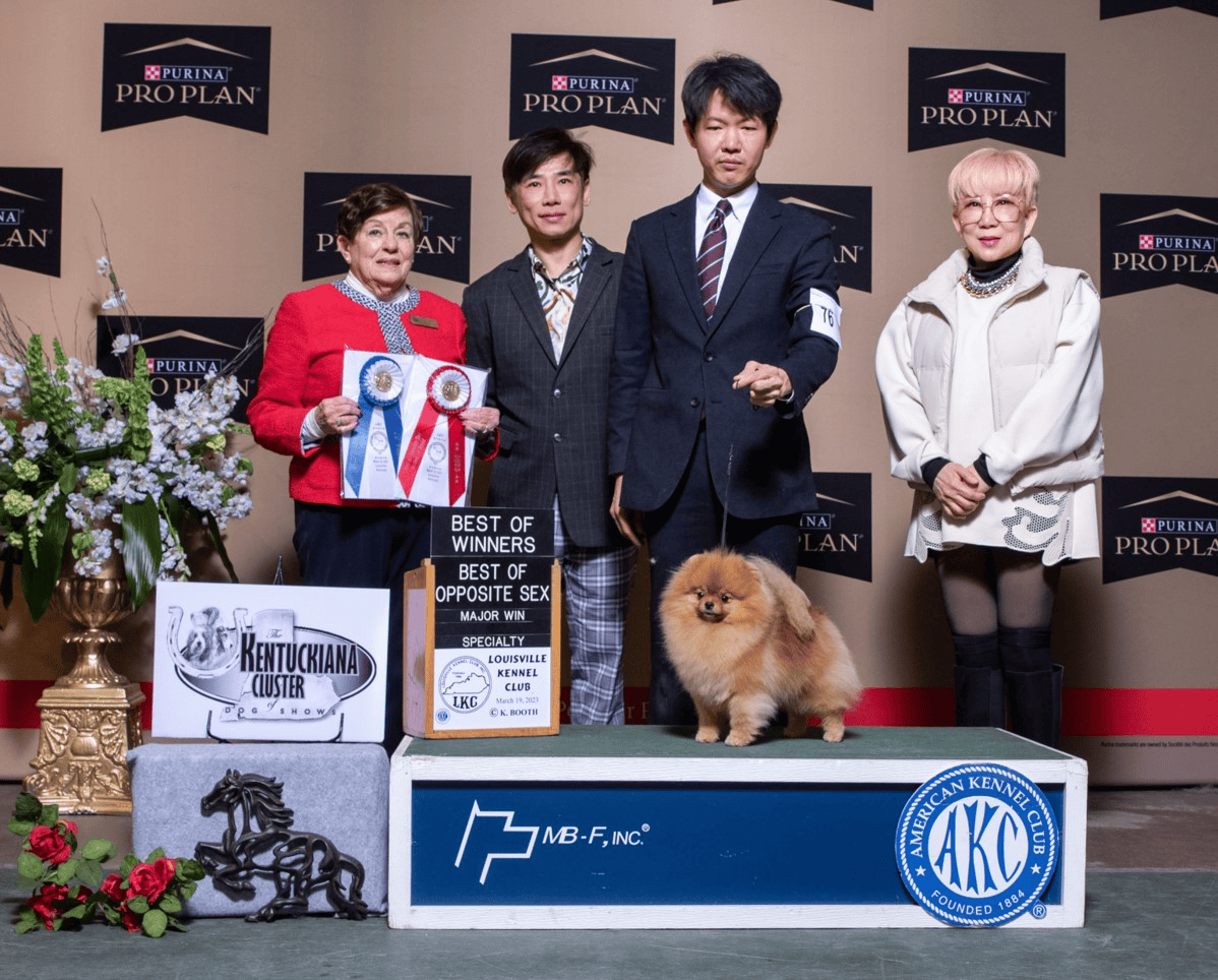 LKC All Breed Dog show 19 March 2023 at Louisville Kentucky USA