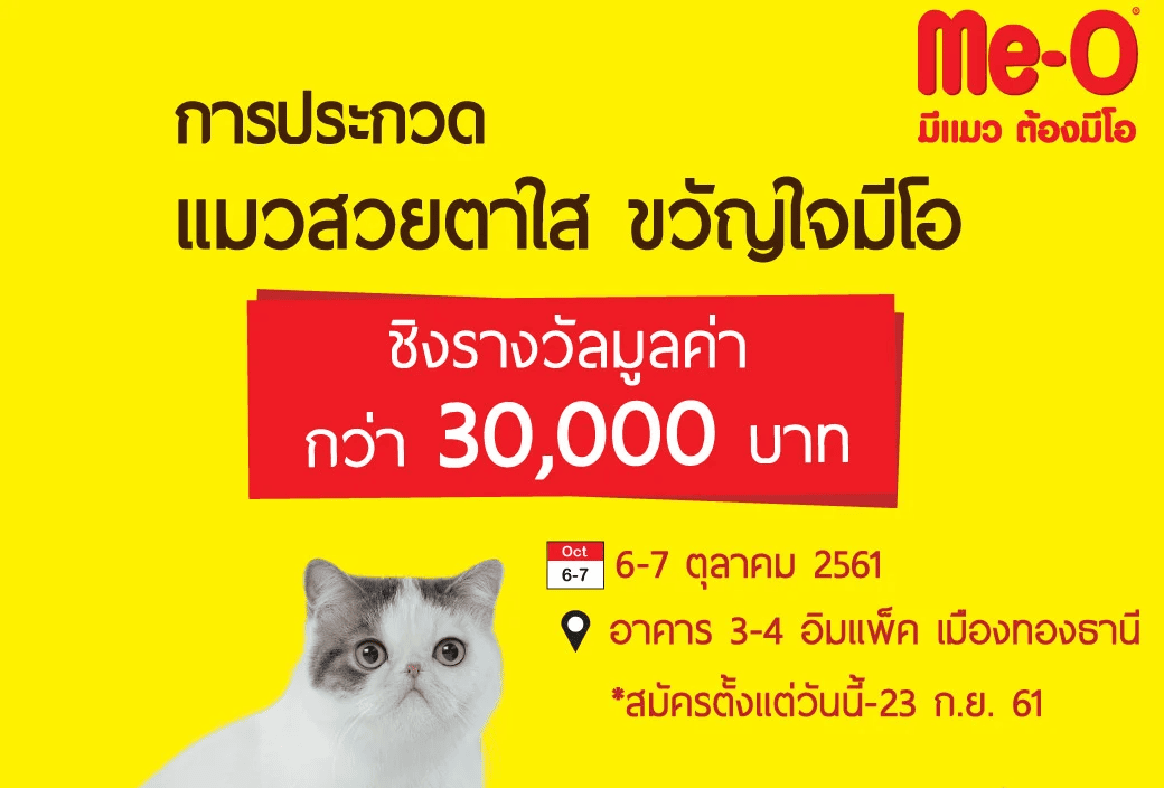“แมวสวยตาใส ขวัญใจมีโอ 2018” เปิดรับสมัครแล้ว