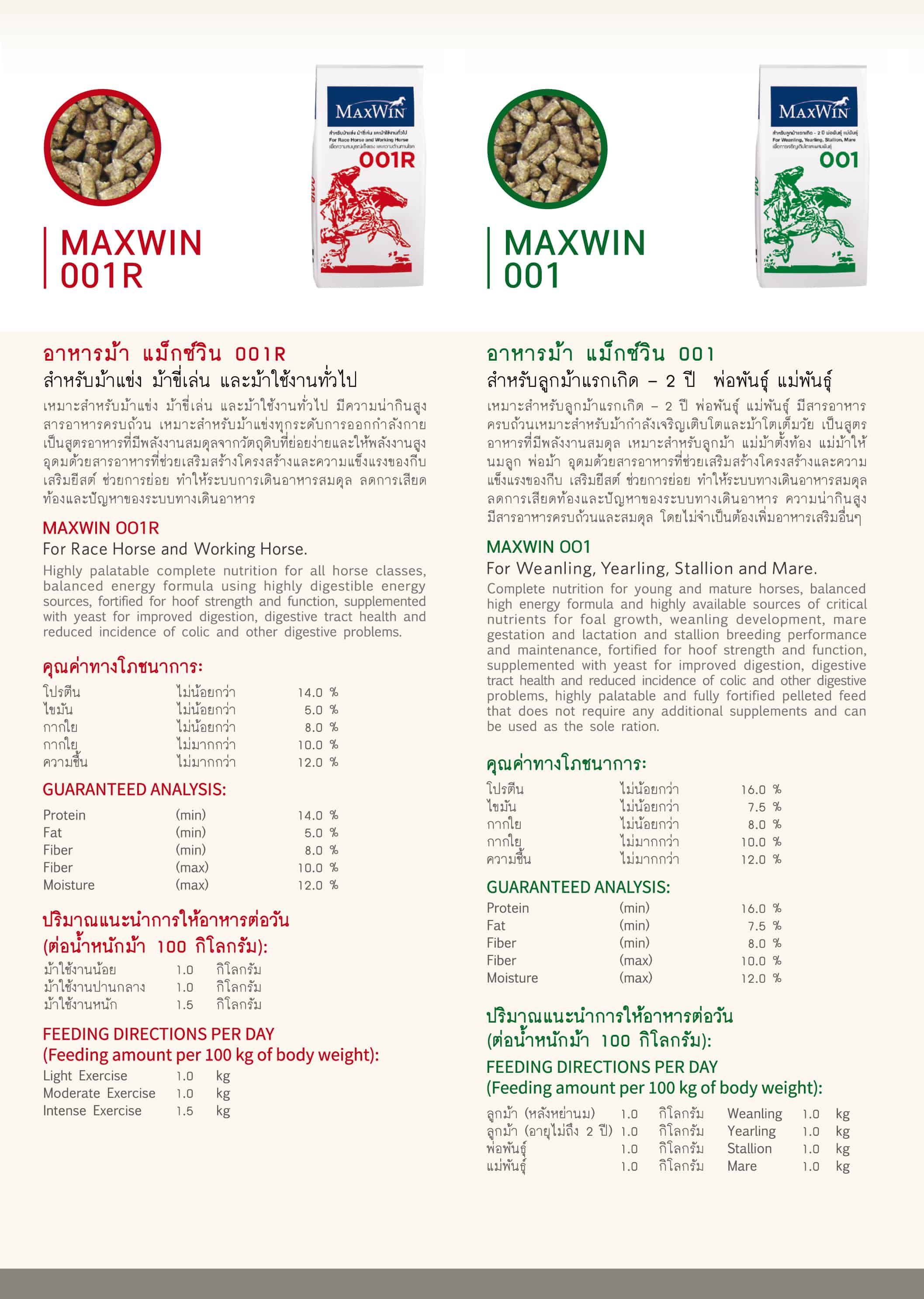 8-MaxWin-001-001R.jpg
