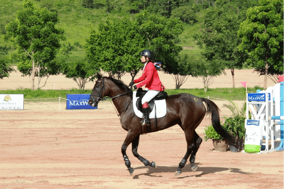 งาน “ MaxWin CIC 1* & Pre-Novice ”