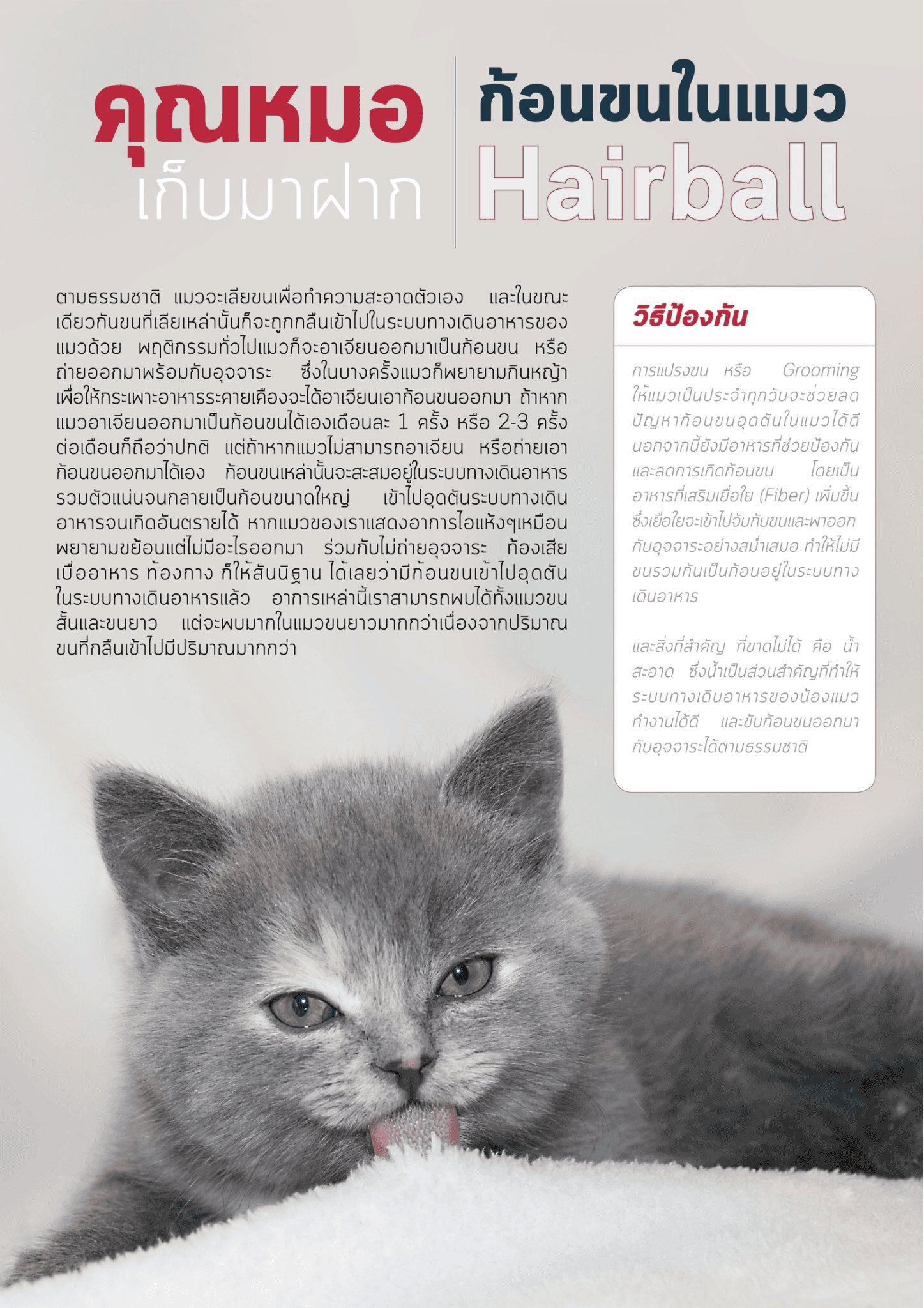 a7b9304c-428f-43ef-b0d3-d96bec8cf878.png