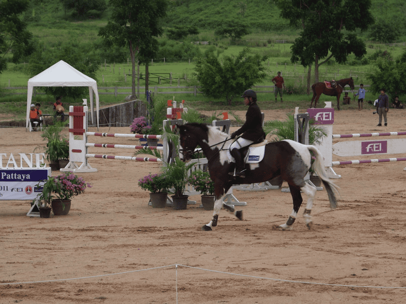 การแข่งขันขี่ม้า Maxwin CIC* ที่ไทยโปโล พัทยา