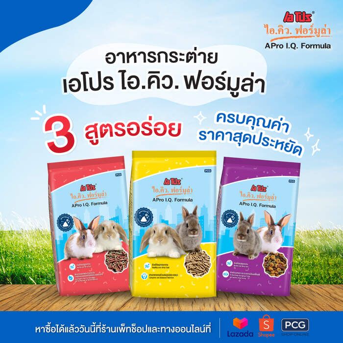 เอโปร® ไอ.คิว. ฟอร์มูล่า