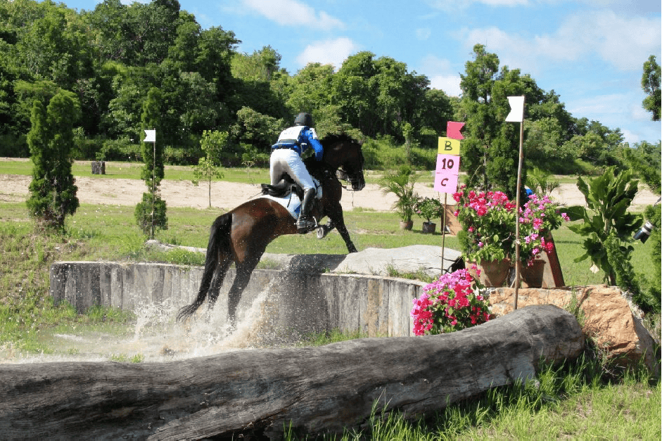 งาน “ MaxWin CIC 1* & Pre-Novice ”