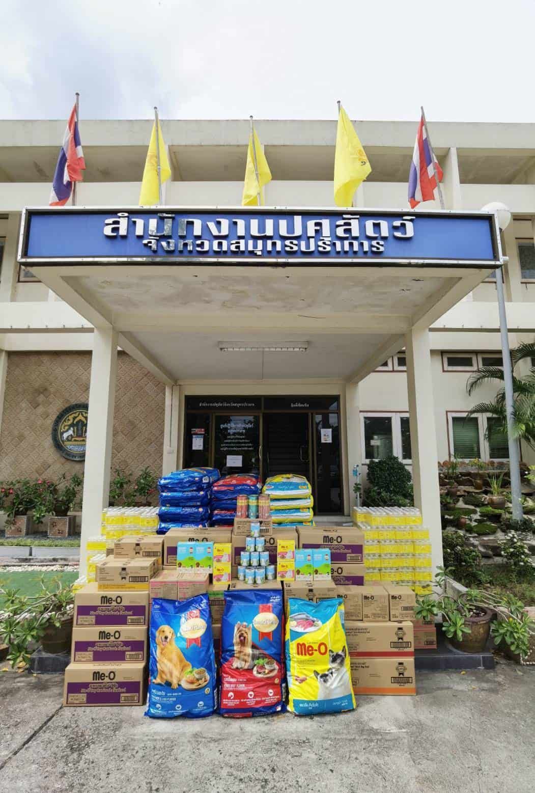p8.1.jpg